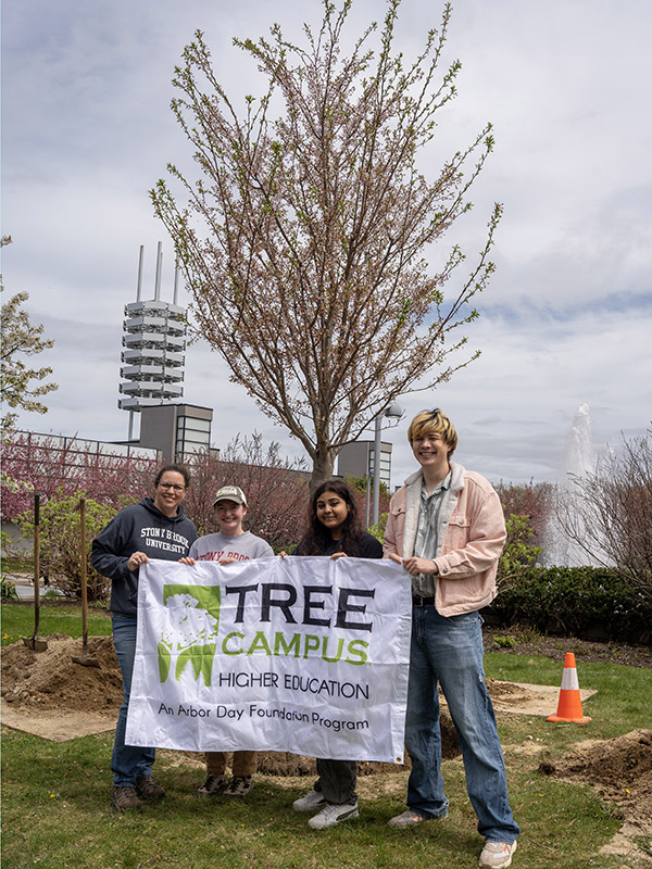 tree campus 25