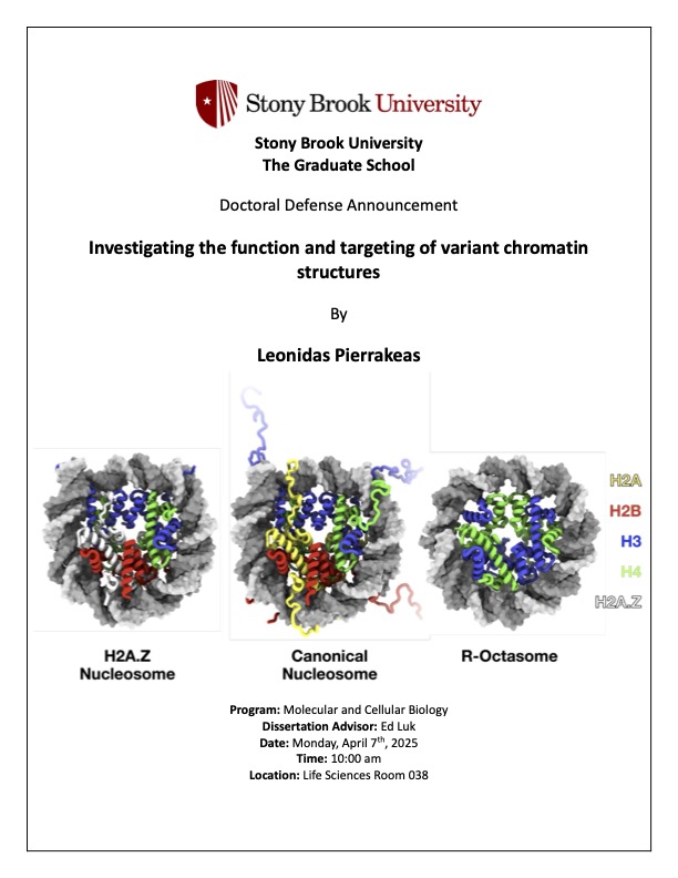 Thesis Defense Poster