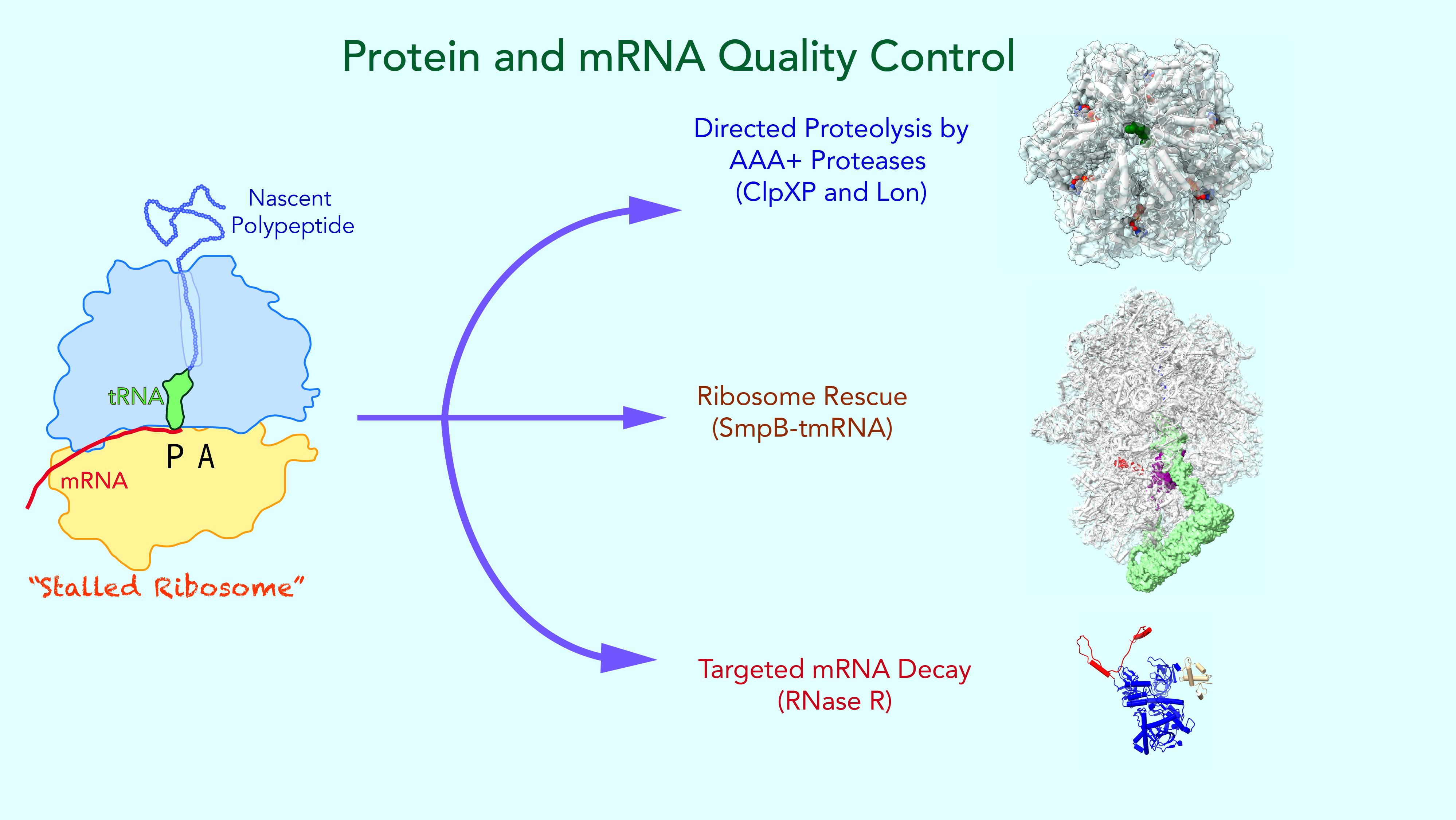Lab Intro Lab Introduction