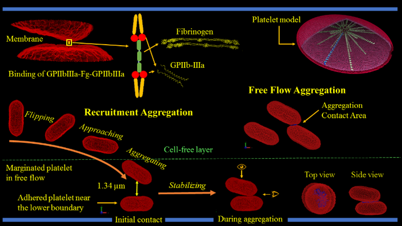 MSM aggregation MSM aggregation