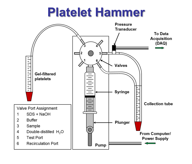Platelet Hammer Platelet Hammer