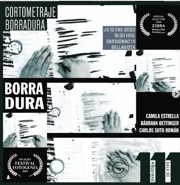 Zebra Poetry Film Festival