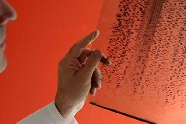 Biomedical Informatics A person holds a translucent sheet with DNA sequencing patterns against a vibrant red background. The scene conveys focus and scientific inquiry.