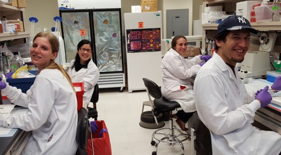 Sheridan Lab Sheridan Lab