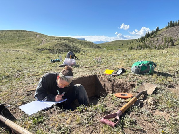 Victoria Castle Fieldwork 2025