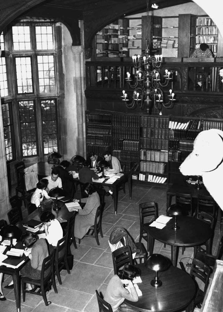 Main floor of Coe Hall at Planting Fields, Oyster Bay, c.1959, showing a grand interior used by Stony Brook University during its early years.