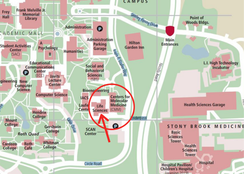 Campus Map - Our Location Portion of the campus map with a red circle around Life Sciences Building and Centers for Molecular Medicine