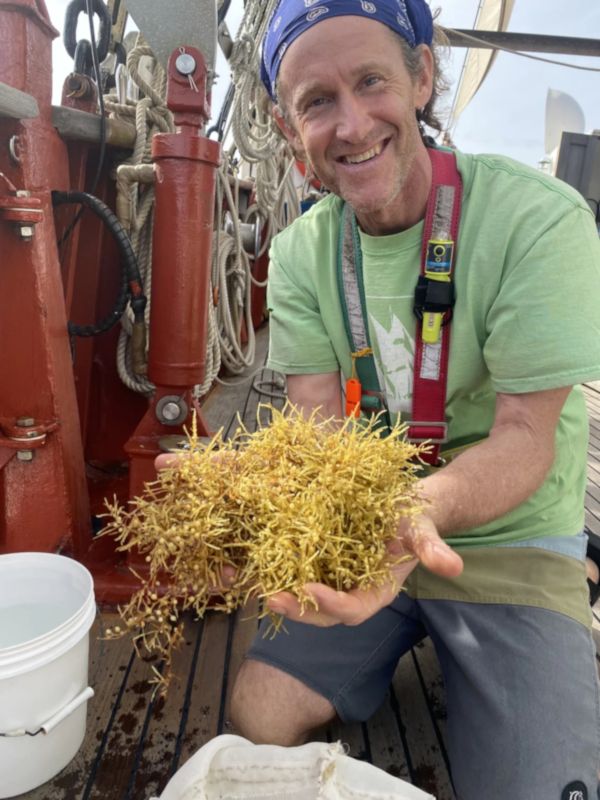 Jeff Schell with Sargassum on board a boat Jeff Schell with Sargassum on board a boat